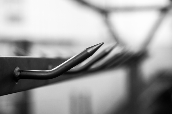 2014 02 19 Abattoir LuxeuilIMG 8705